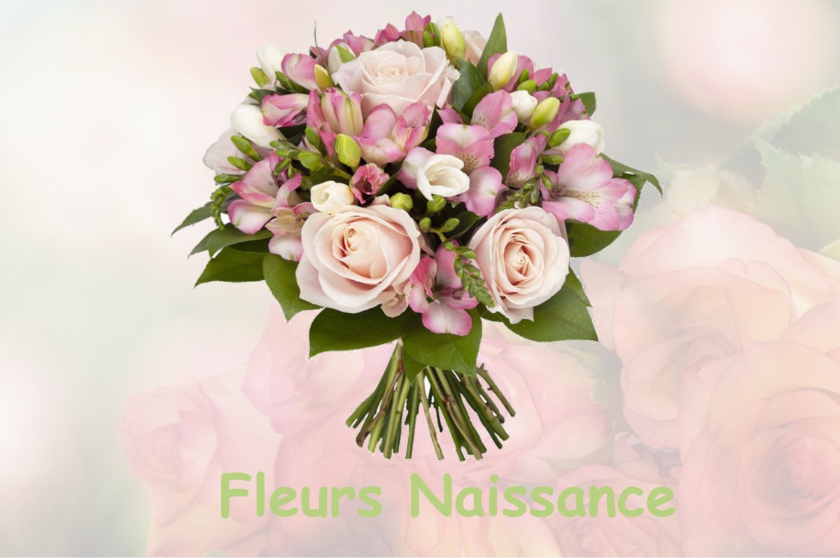 fleurs naissance CHARNY-SUR-MEUSE